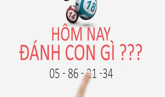 Hôm nay đánh số lô nào Hôm nay đánh số lô nào