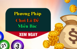 Những cách bắt cầu lô miền Bắc mới nhất năm 2025